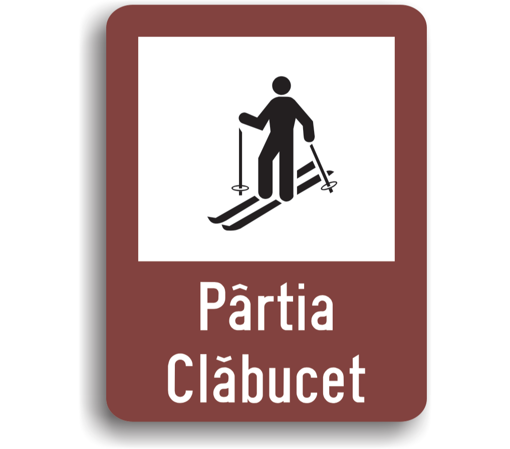 Pârtie ski